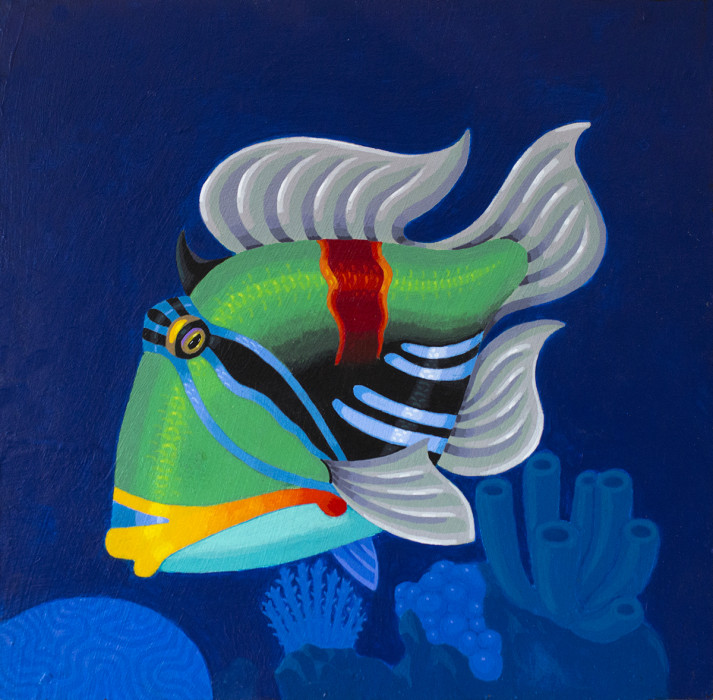 Picasso-Triggerfish